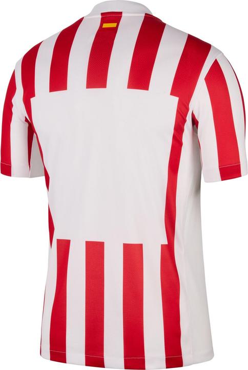 Produktbild Nike Atletico Madrid Trikot (XL)