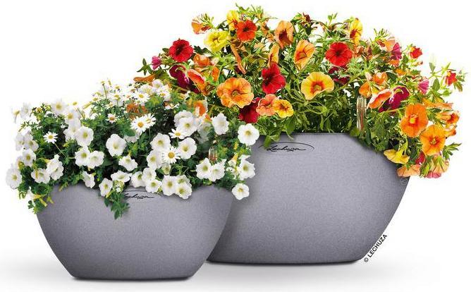 Produktbild Lechuza Cubeto 40 (40 x 18.30 cm)