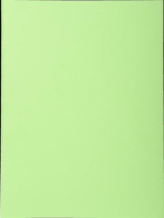 Immagine prodotto Exacompta Scrapbook - Copertine di file (24 x 32 cm, 1 x)