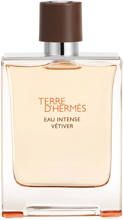 Immagine prodotto Hermès Terre D'hermes (Eau de parfum, 100 ml)