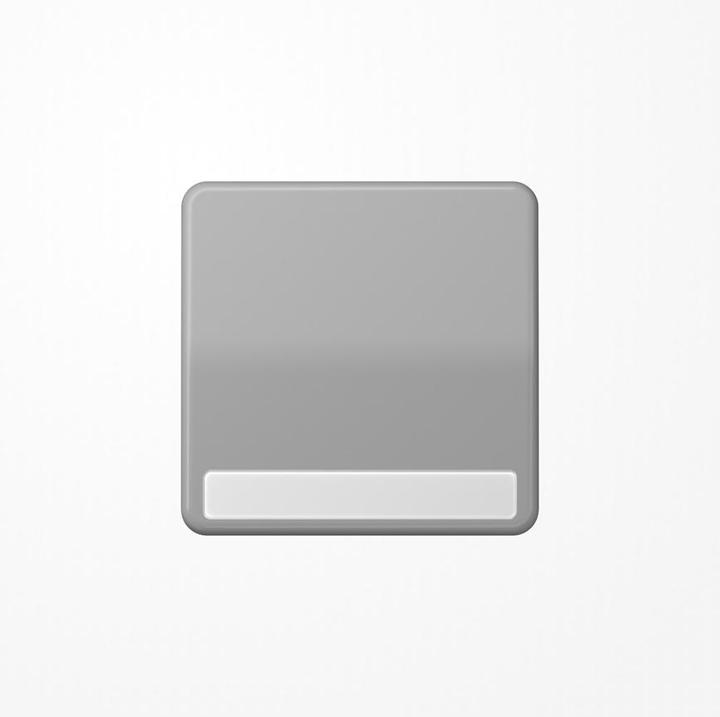 Actual product image JUNG Rocker switch CD gr glz BSF CD590NAGR