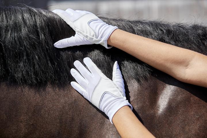 Produktbild Equipage Karla gloves (L)