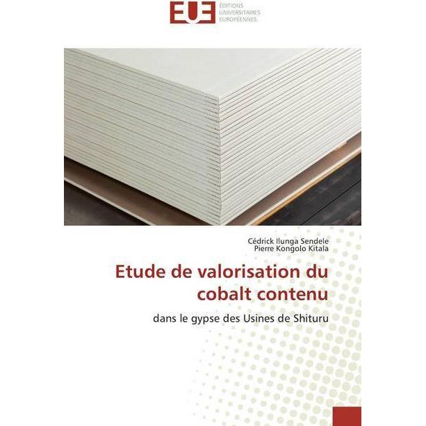 Etude de valorisation du cobalt contenu, Fachbücher von Pierre KONGOLO KITALA, Cédrick Ilunga Sendele