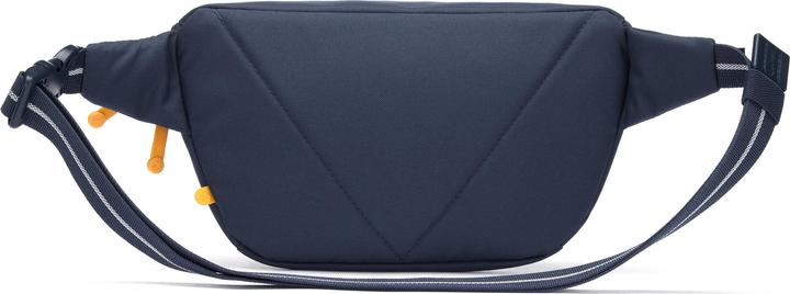 Actual product image Pacsafe Go