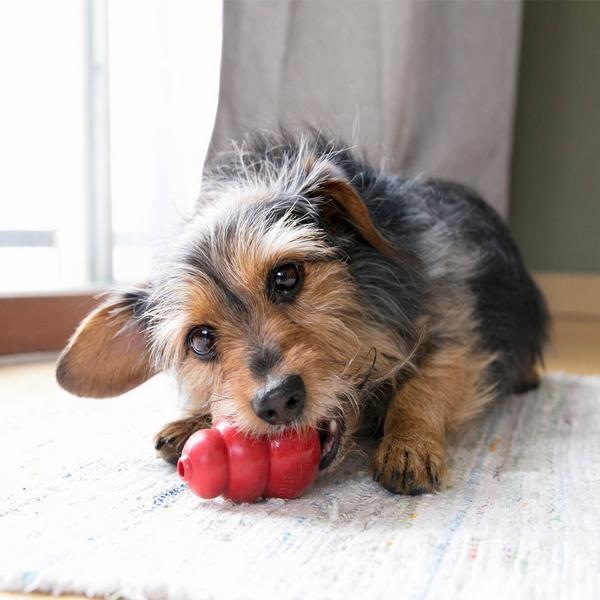 Image du produit KONG Classic (Apporter, Jouet à lancer chien, Jouet alimentaire pour chien)