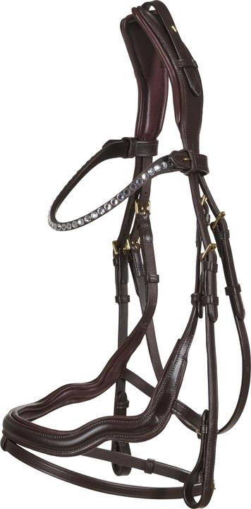 Catago Sienna jumping bridle with flash