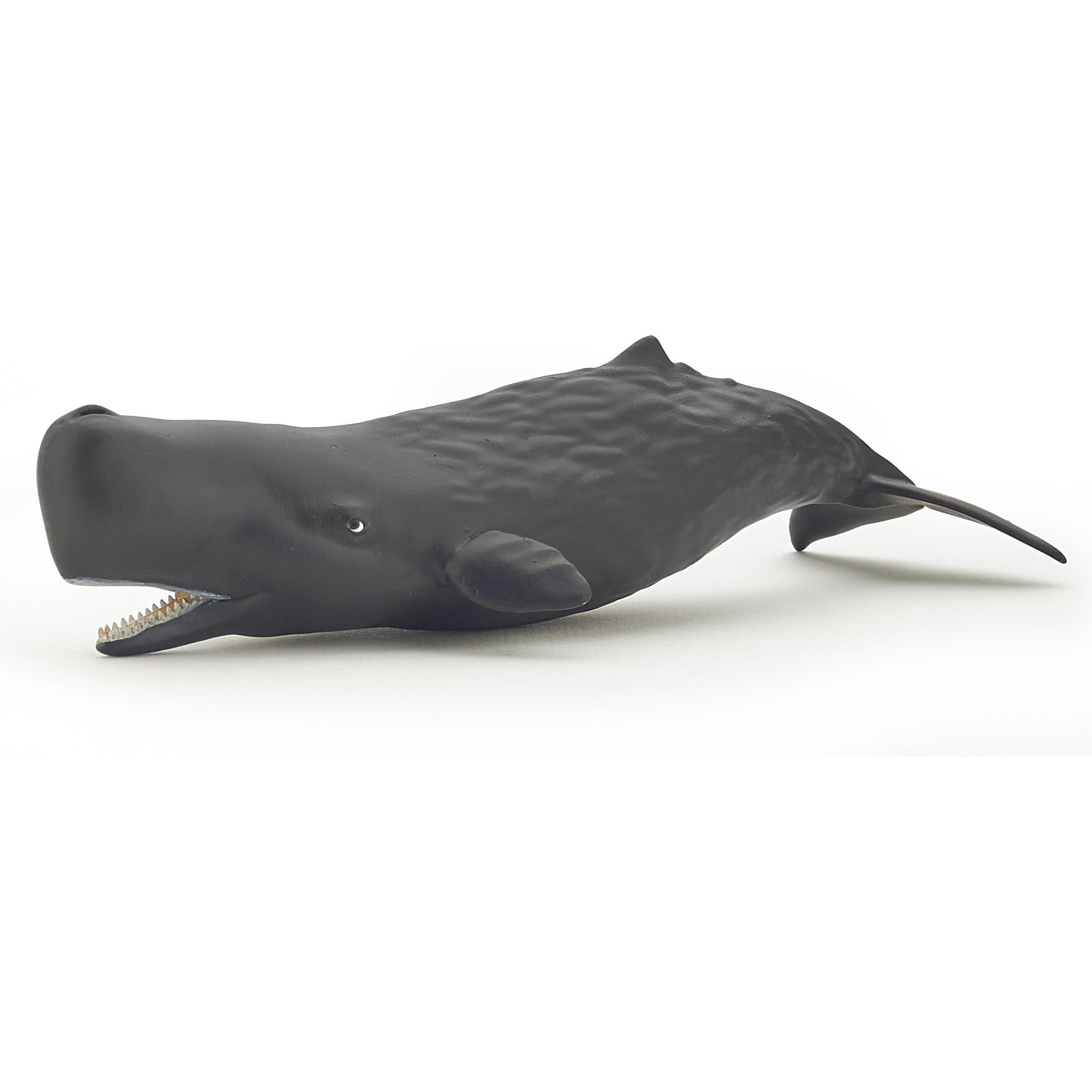 Thumbnail - Papo Pottwal-Kalb