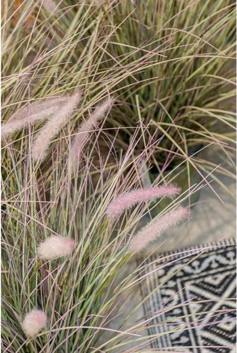 Productafbeelding Emerald Kunstmatige plant (71 cm)