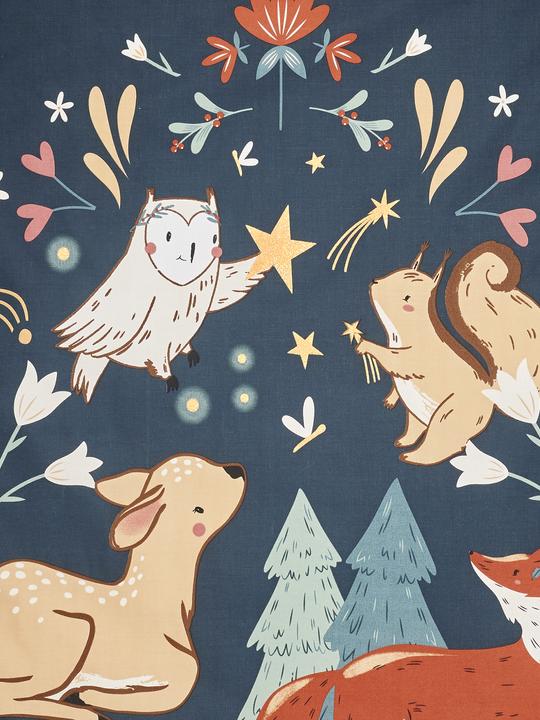 Actual product image Vertbaudet Children's sleeping bag MINILI MAGIC FOREST, personalisable (115 cm)