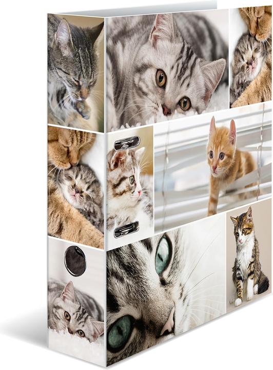 Produktbild HERMA Ordner A4 Motiv (A4, 70 mm, 1 Stk.)