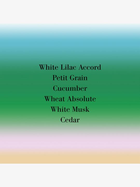 Actual product image Frédéric Malle En Passant (Eau de parfum, 100 ml)