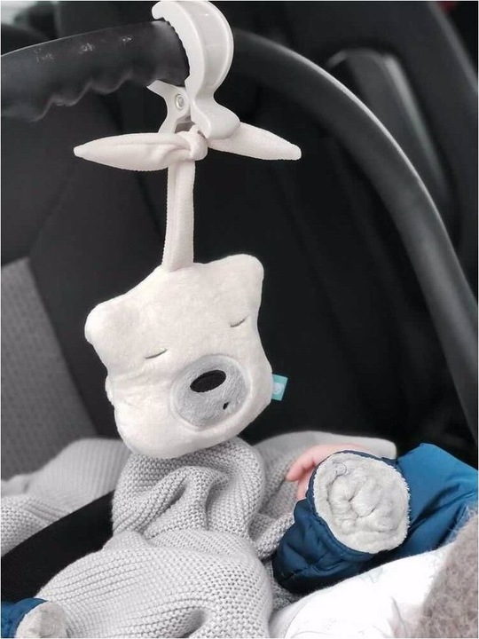 Actual product image MyHummy Mini Basic