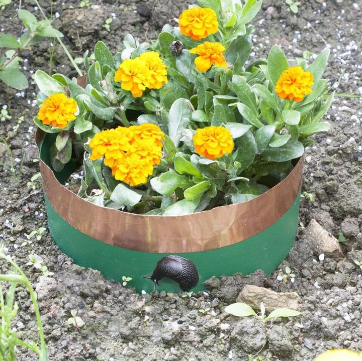 Produktbild Katcha Tiervertreiber Kupferband und Kunststoffstreifen für Pflanzenkreise