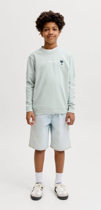 Produktbild Jack & Jones Junior Pullover CLUB SUMMER Sweatshirt (140)