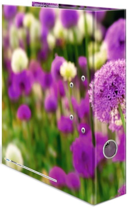 Actual product image Herma A4 folder motif (A4, 70 mm, 1 Piece)