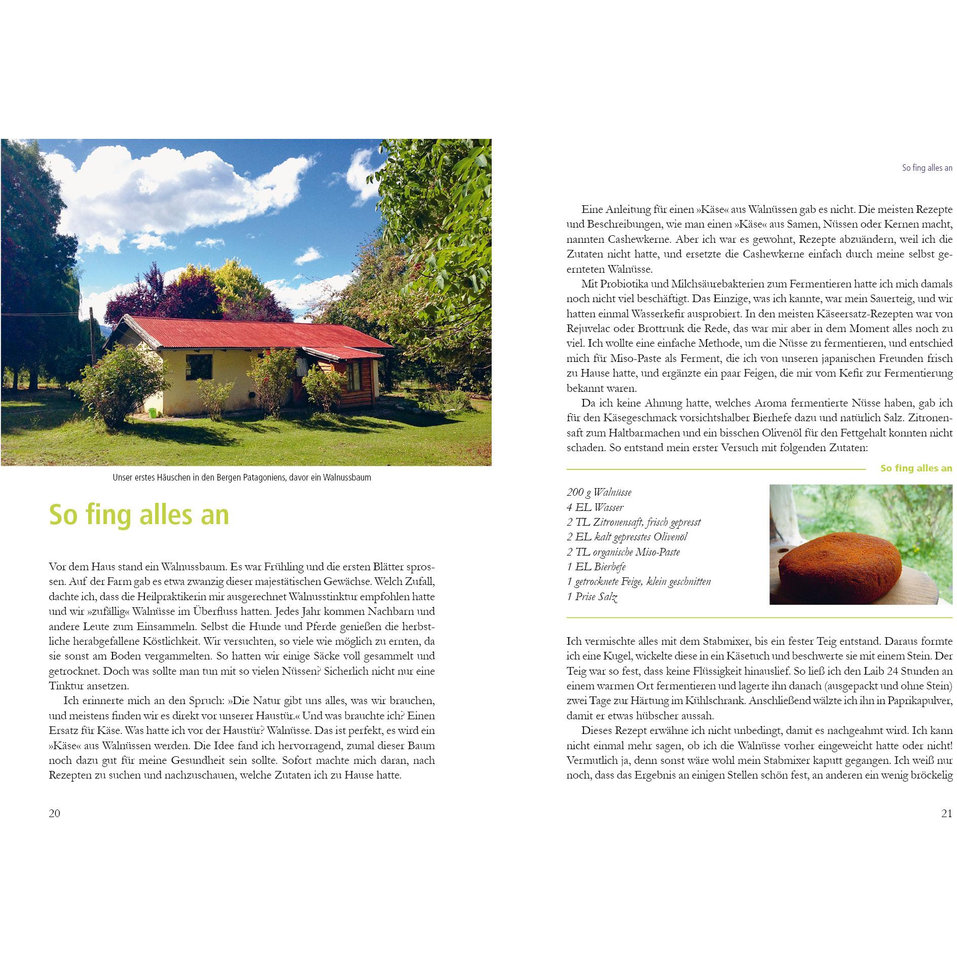 Thumbnail - Natürlich fermentierte Nüsse, Ratgeber von Stefanie Horn