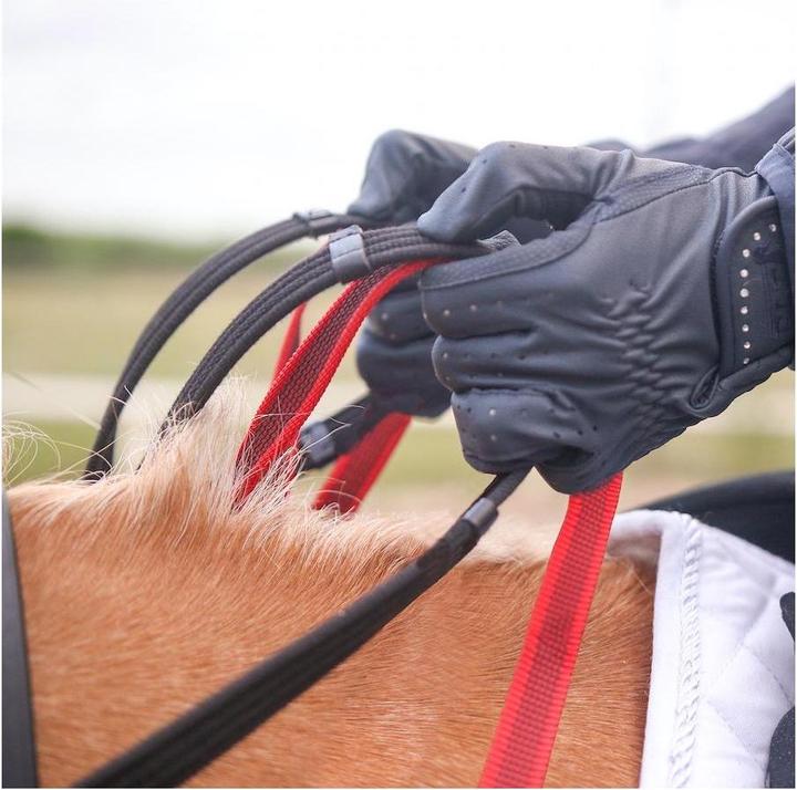 Image du produit Waldhausen Pré-harnais avec BOUCLE DE SÉCURITÉ SECUTRUST