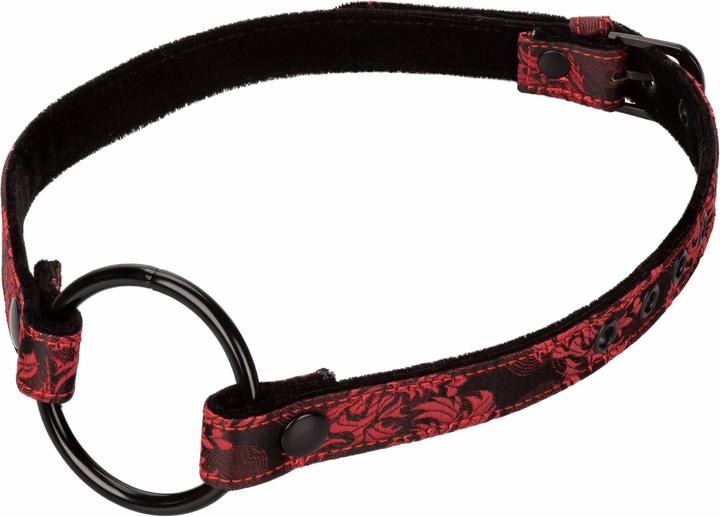Accessori BDSM