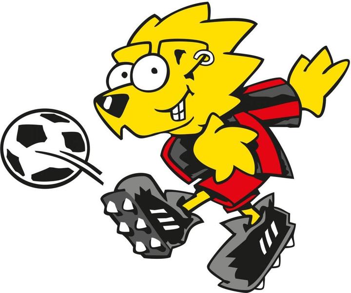 Actual product image Bayer 04 Leverkusen Brian (100 x 120 cm)