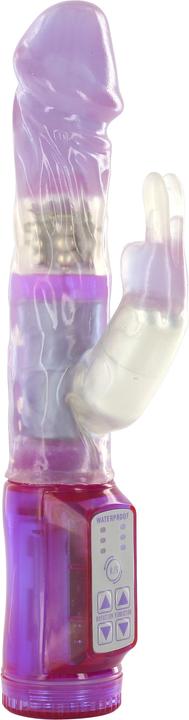 Violetinė