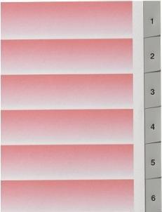 Immagine prodotto Kolma Indice A4 forte 1-12 12 pezzi grigio