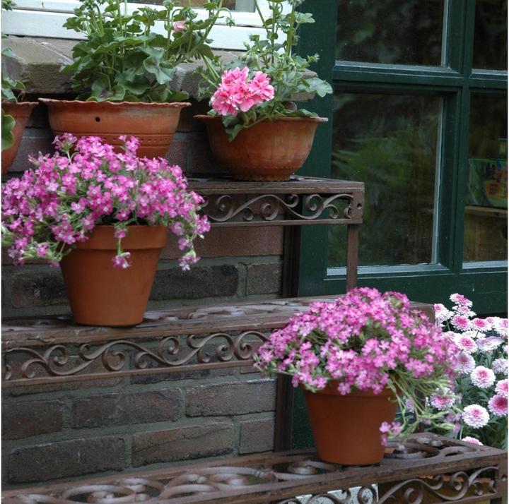 Immagine prodotto Esschert Design Blumentreppe aus Gusseisen, rechteckig