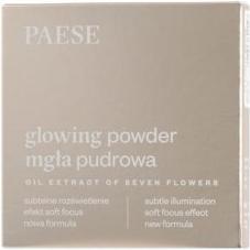 Immagine prodotto Paese Polvere luminosa Polvere 11 Beige chiaro 10G (Light Beige)