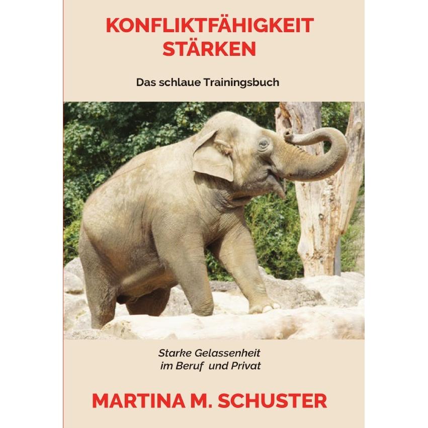 Konfliktfähigkeit Stärken, Ratgeber von Martina M. Schuster
