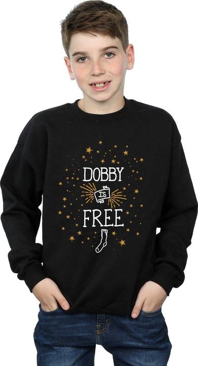 Produktbild Dobby Is Free Sweatshirt Jungen (128)