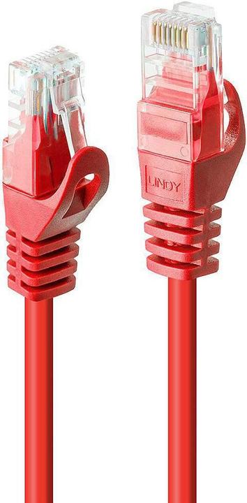 Actual product image Lindy Network cable (U/UTP, CAT6, 3 m)