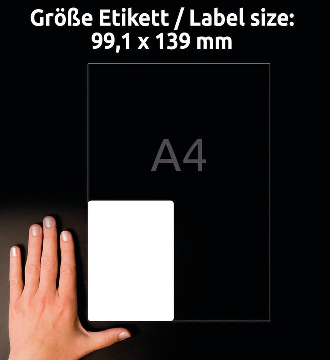 Immagine prodotto Avery Etichette in pellicola ultraresistente
