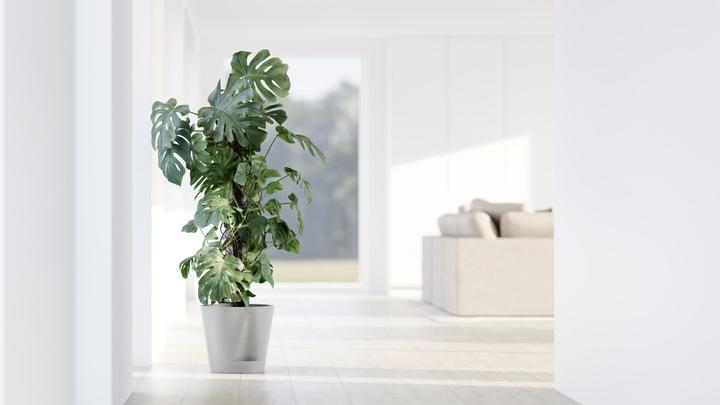 Produktbild Ecopots Venice 2 (40 x 35.70 cm)
