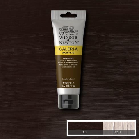 Immagine prodotto Winsor & Newton Galeria Acrylic 120Ml Burnt Umber 076 (Albero bruciato, 120 ml)