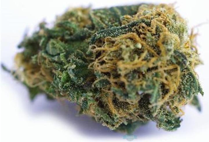 Produktbild Blow CBD Joint GRÜN Next Generation (Indoor)