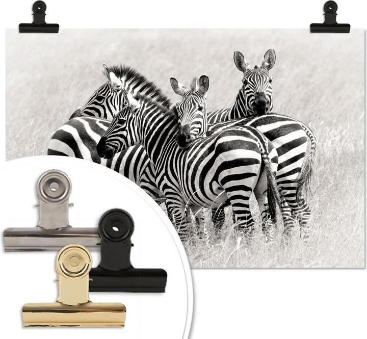 Image du produit Trenddeko Trubitsyn - Zèbres dans la savane (45 x 30 cm)