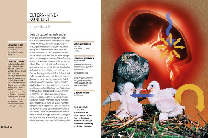 Produktbild Librero Die Evolution in 30 Sekunden