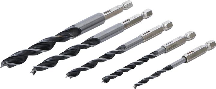 BGS Holzbohrer-Satz 4 - 10 mm Sechskantantrieb 5-tlg. (10 mm, 4 mm, 6 mm, 8 mm, 5 mm)