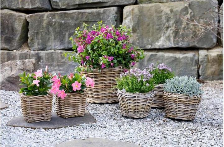 Image du produit Jaco Drypot (52 cm)