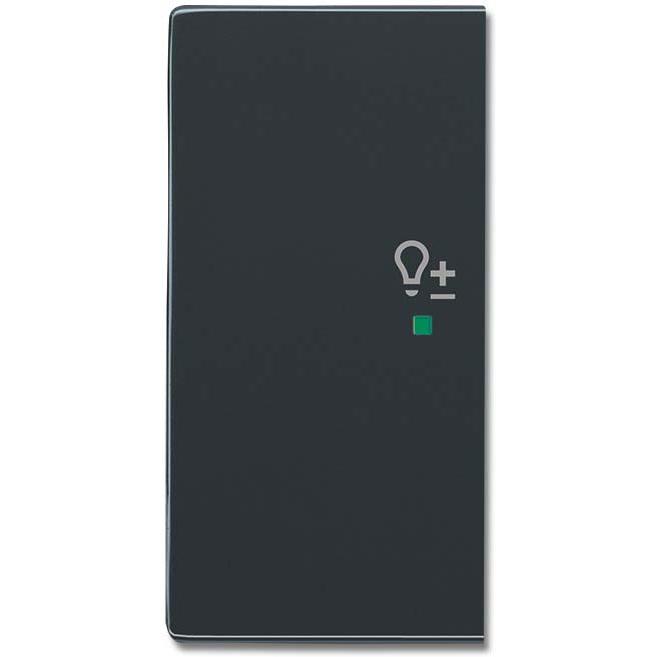 Busch-Jaeger, Zubehör Schalterprogramm, Busch-Jäger Wippe 2-fach links, mit Symbol "Dimmer" 6234-21-81