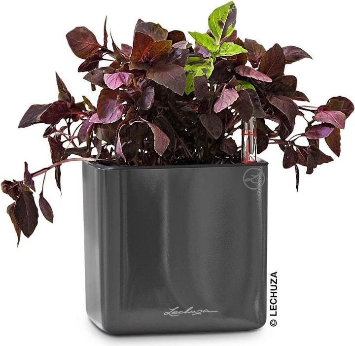 Produktbild Lechuza Cube Glossy 14 (14 x 14 x 14 cm)