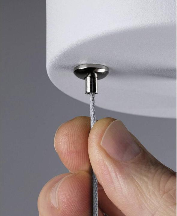 Image du produit Paulmann Suspension Volea