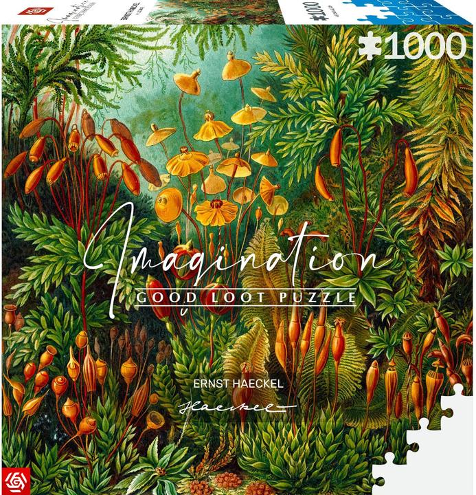 Actual product image Good Loot Puzzle 1000 Ernst Haeckel Muscinae (1000 pieces)