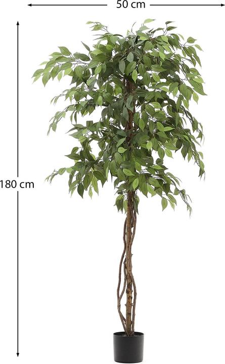 Image du produit Kave Home Ficus (180 cm)