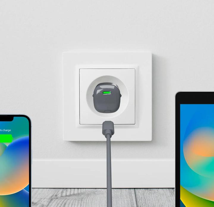 Actual product image Puro Charger (20 W)