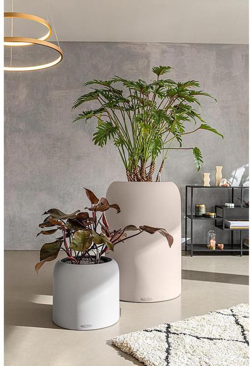 Actual product image Lechuza Havalo 60 (59 cm)