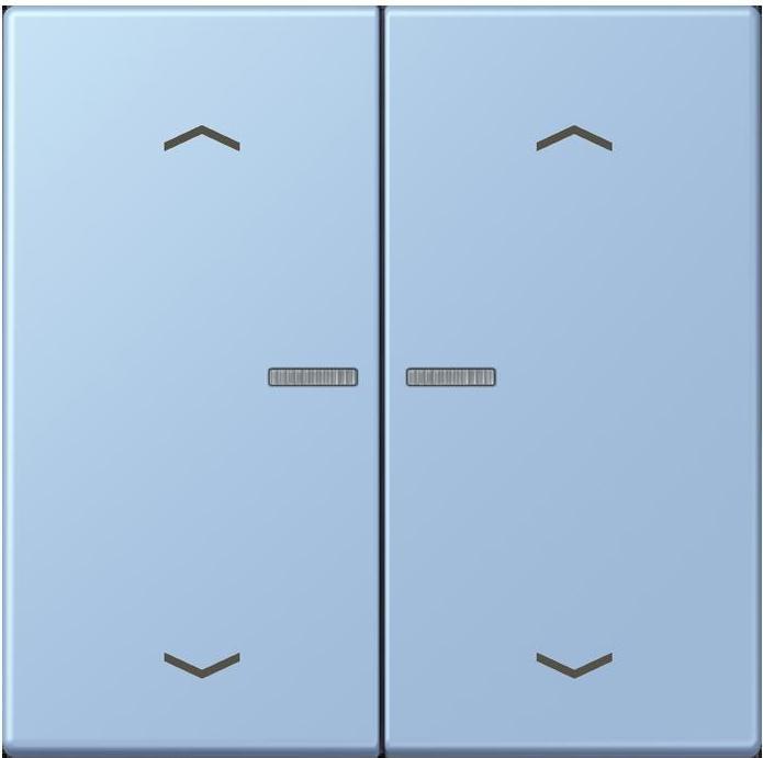 Actual product image JUNG BTLC17102P207 HOME push button