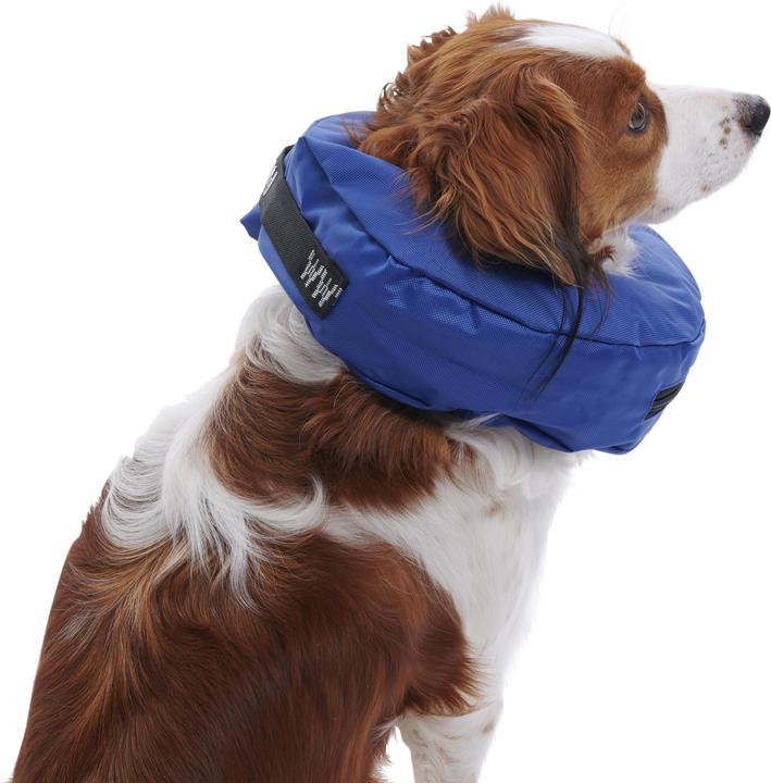 Buster - Inflatable Collar - XL - Nylon Blue (279733) (XL, Hund, Hundesport)
