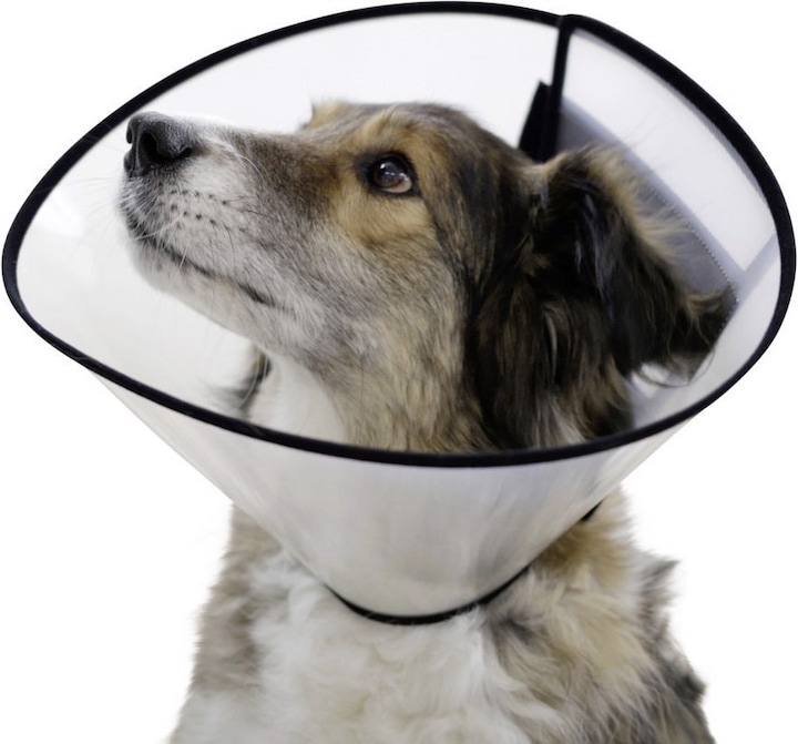 Kerbl Dog neck brace (Dog)