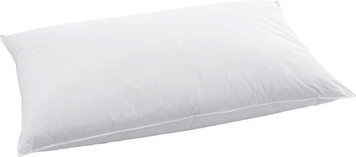 Actual product image Swiss Dream by billerbeck Soft Pillow Basic 80 (60 x 90 cm)