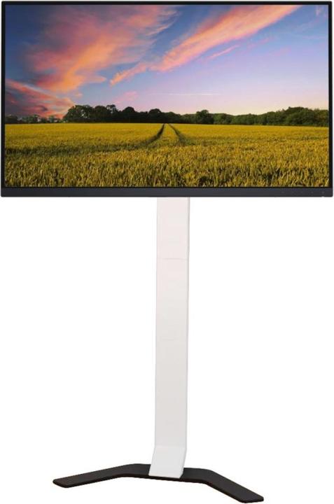 Image du produit Techly TV Standfuss Super Slim (70", 40 kg)
